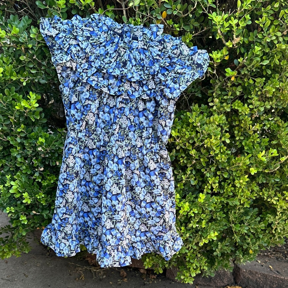 Janie and Jack Blue Floral Ruffle Dress